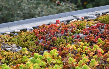 the cost of Dodscott green roof installation