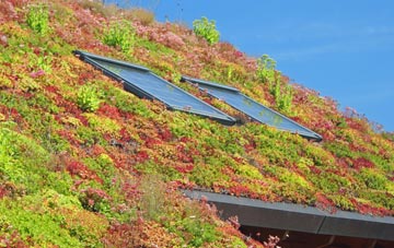 Dodscott living roof systems