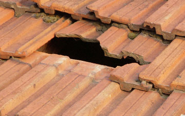 roof repair Dodscott, Devon