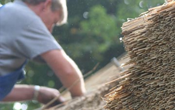 professional Dodscott thatchers