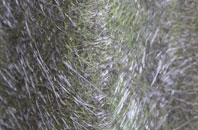 Dodscott fibreglass roof work